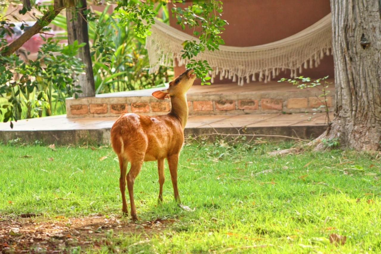Aymara Lodge Poconé Exterior foto
